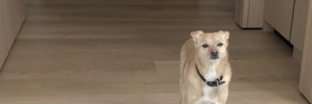 gnightnhoe's profile banner image