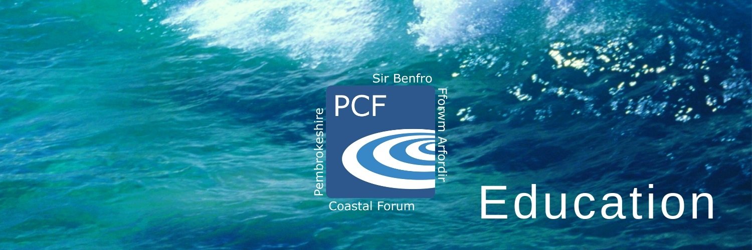 PCF_education's profile banner image