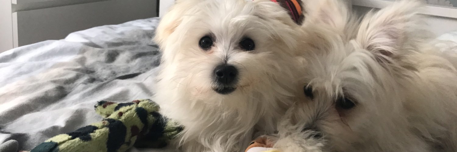 FayeharveyYo's profile banner image