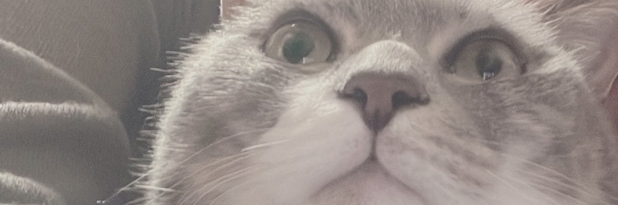 kiritr0411's profile banner image