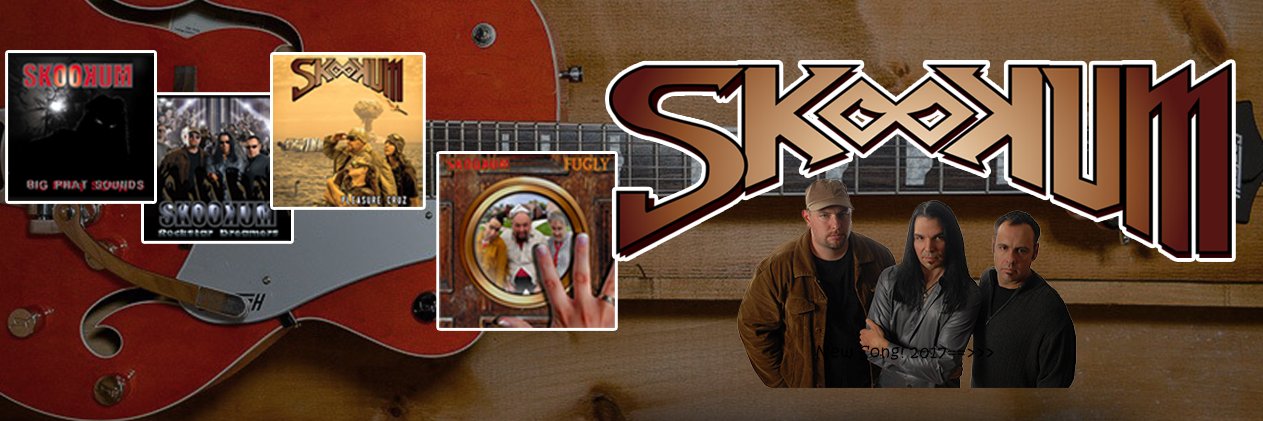 SkookumRock's profile banner image