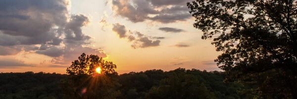 fwiles Profile Banner
