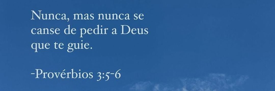 Leonardo banner