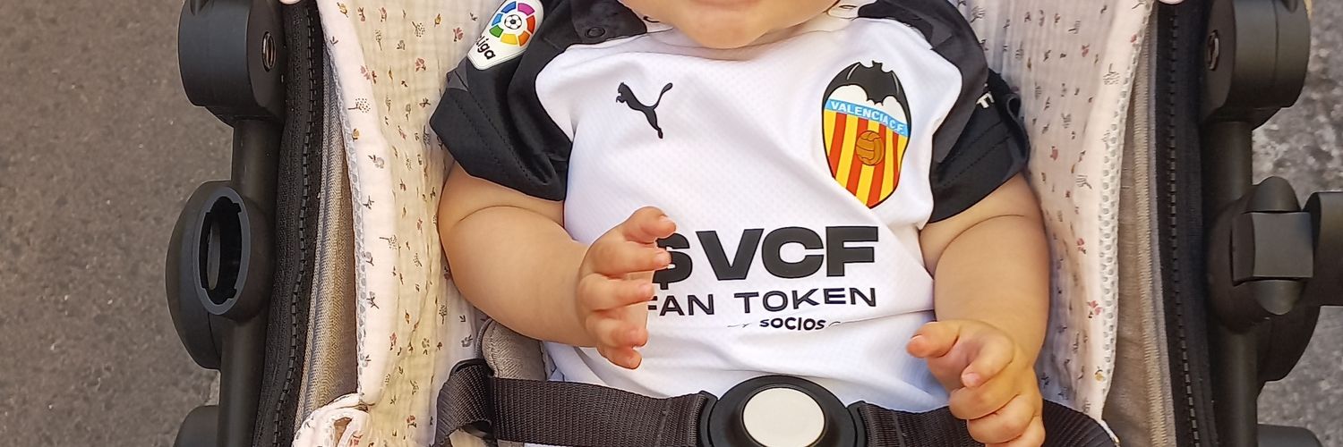 Ferran Monzó Giménez banner