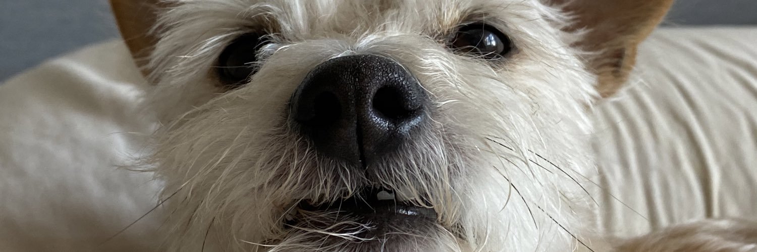 austin_poor's profile banner image
