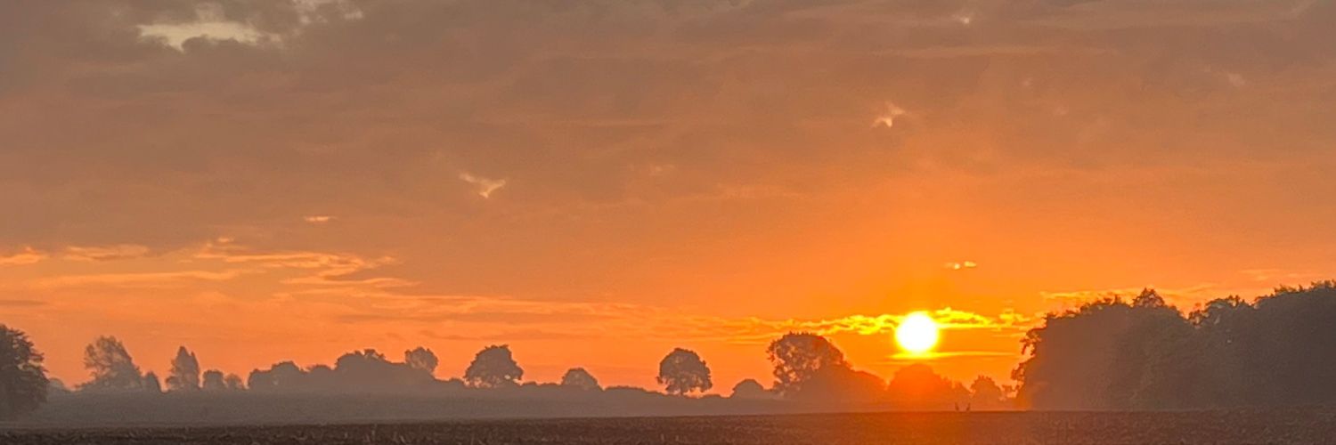 HiltrautRenner's profile banner image