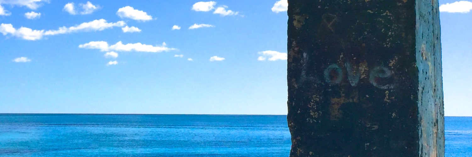 thejanetbridge's profile banner image