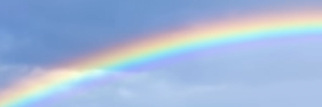 marucoch's profile banner image