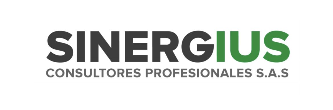 SINERGIUS's profile banner image