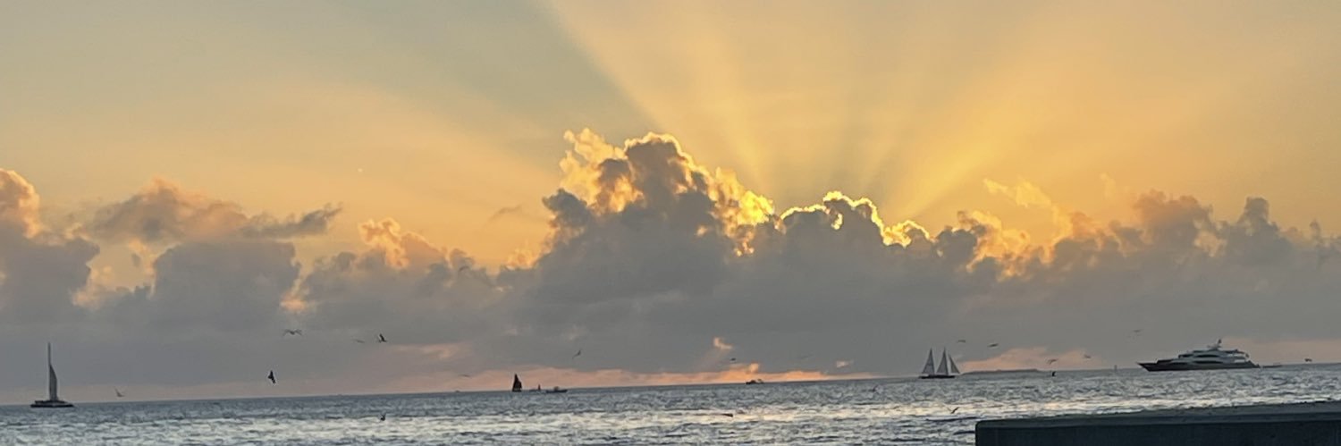 TerryLfranklin's profile banner image