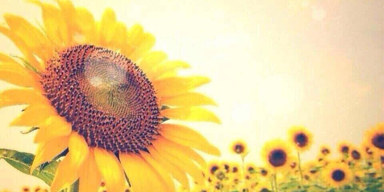 rav_yms's profile banner image