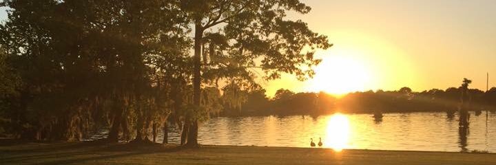 Lisa Funderburk banner