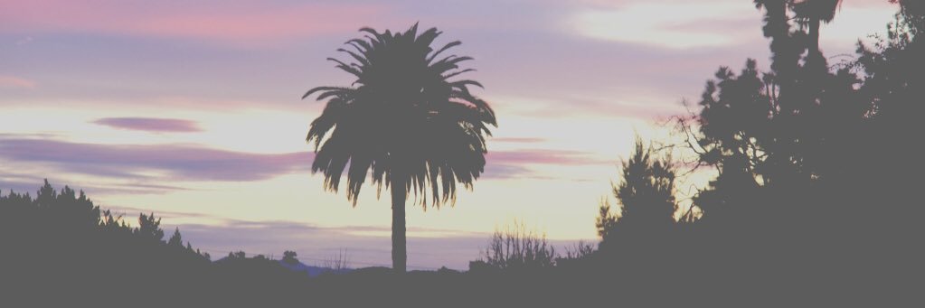 Dacox001's profile banner image