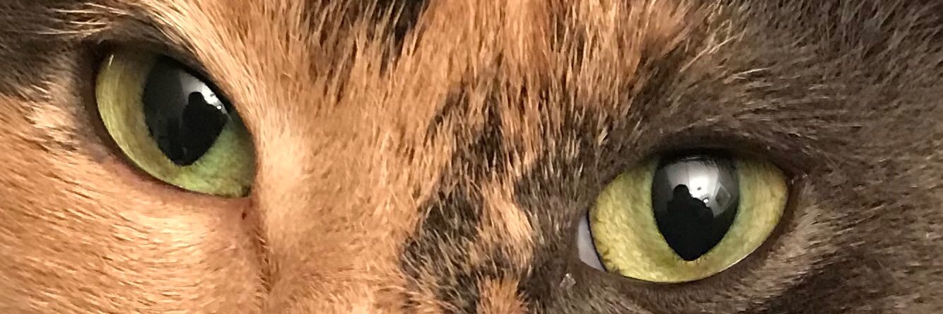 Sigrid de Jong banner