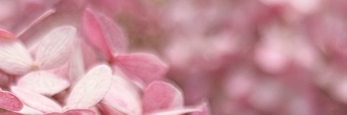 midnight_rayn's profile banner image