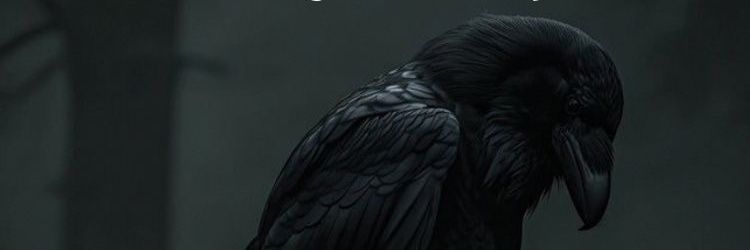 kalaghsiahchini's profile banner image