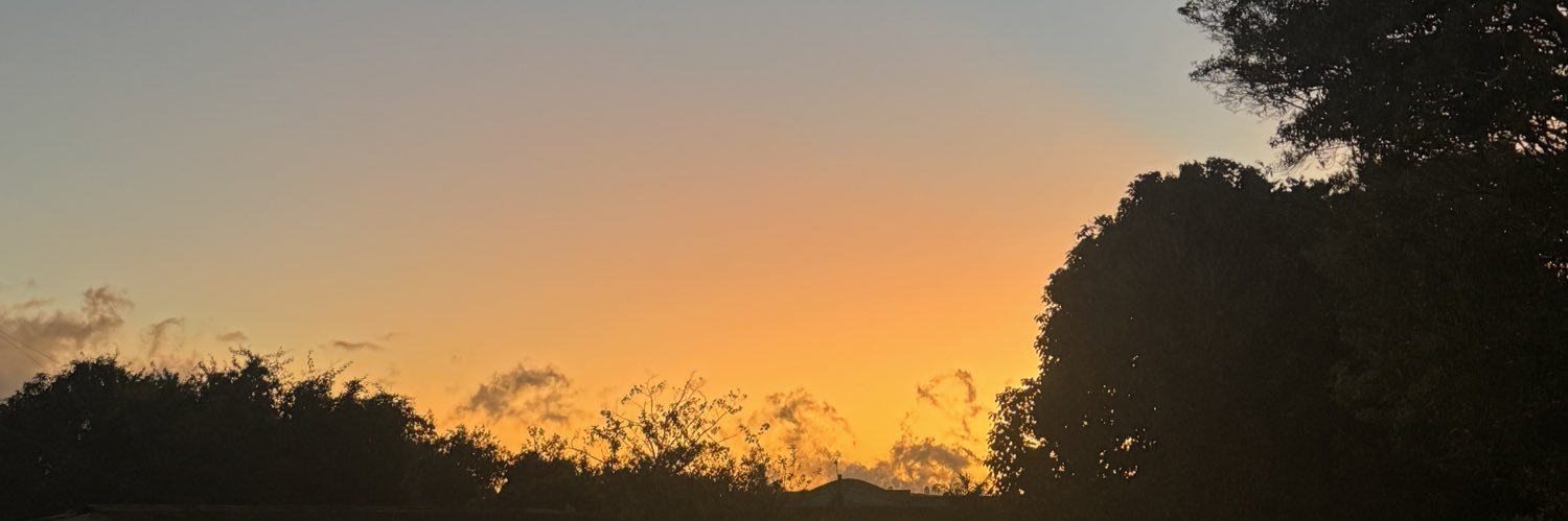 luis_selles's profile banner image