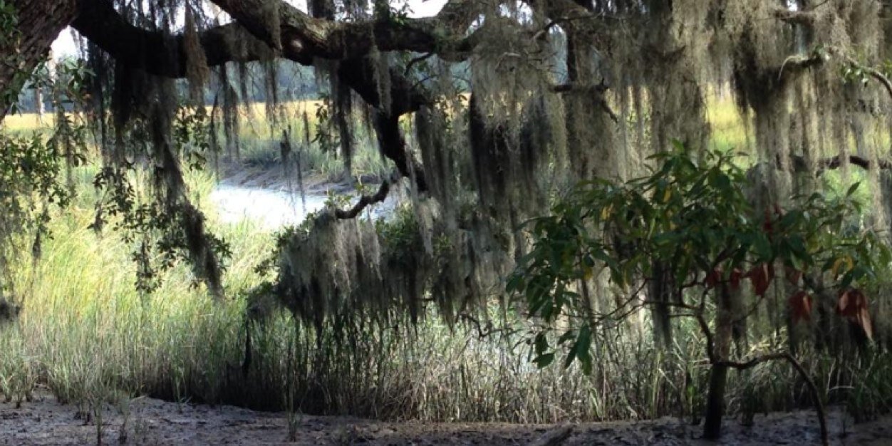 CraigGuyton's profile banner image