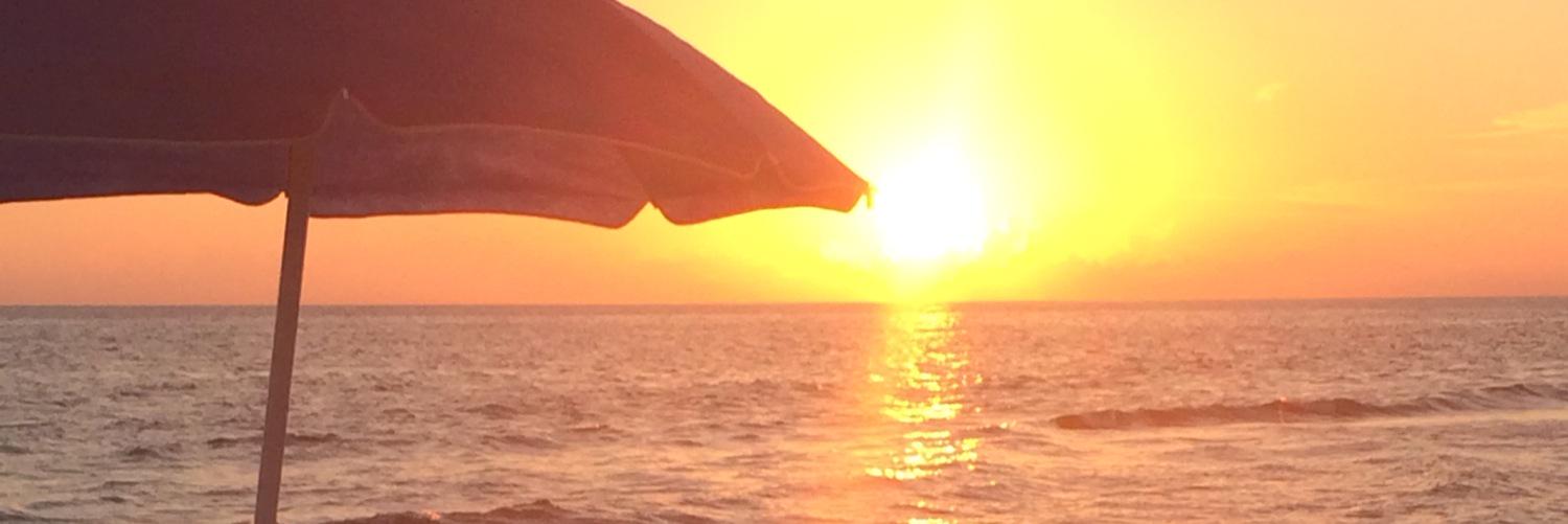 AdrienneGoldman's profile banner image