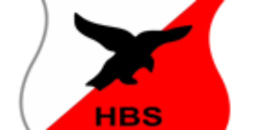 HBS-Craeyenhout banner