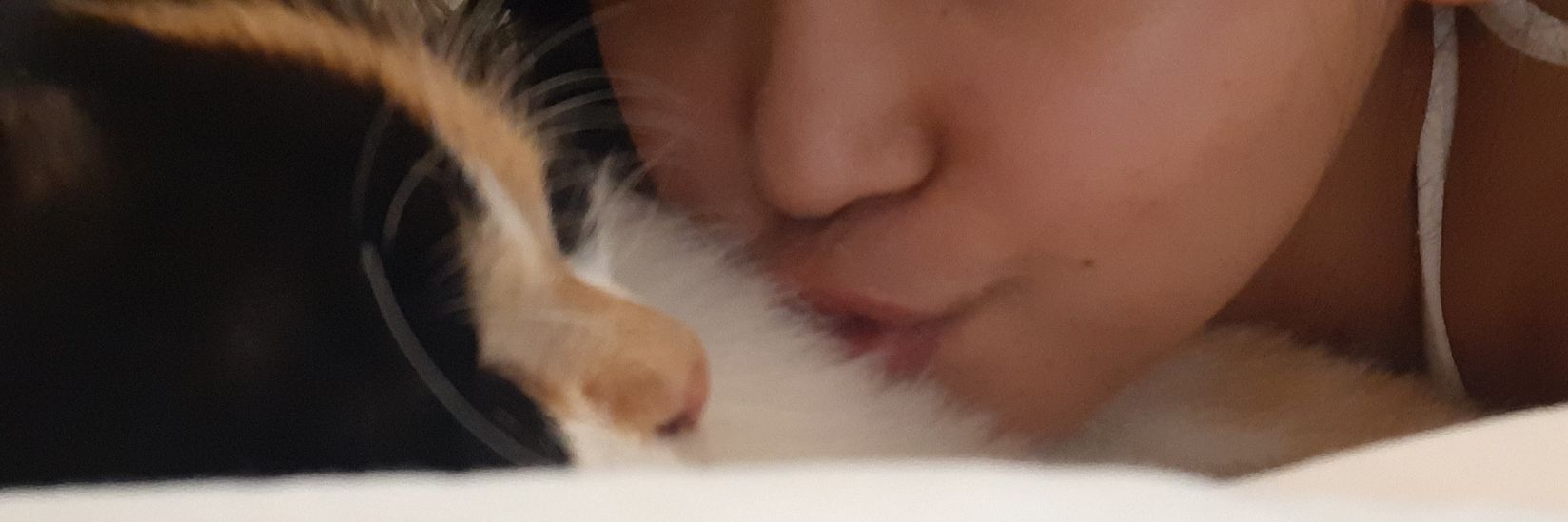 niinnjjaaa's profile banner image