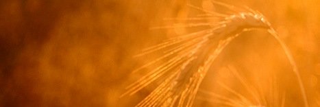 _TomekKlos's profile banner image