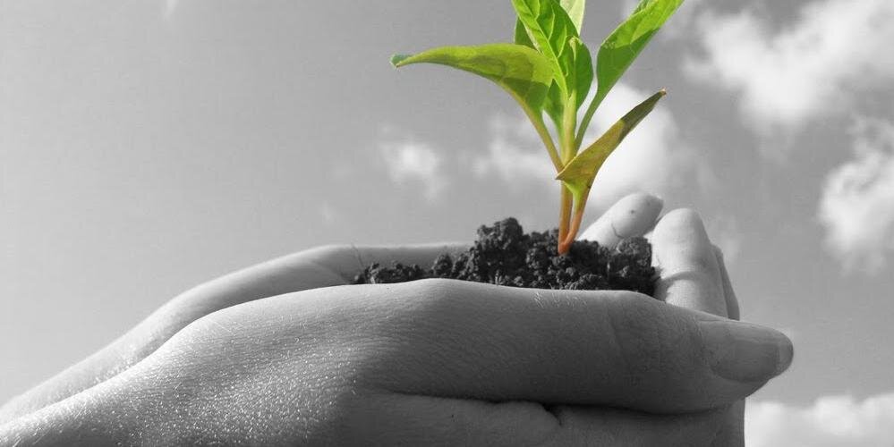 GerminemAltCamp's profile banner image