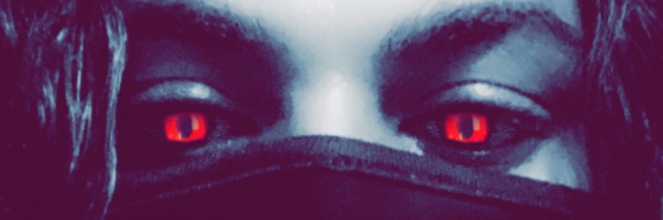PunkShamlu's profile banner image