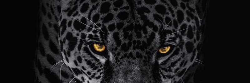 Coach_W_'s profile banner image