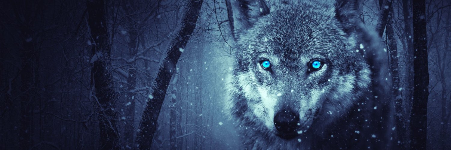 wolf_only_1's profile banner image