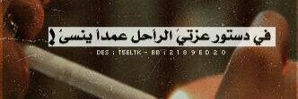 bntabdalkram's profile banner image