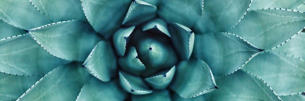 Miss_Matz_'s profile banner image