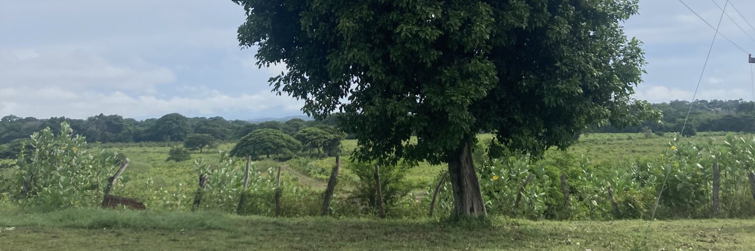 Francisco Caveda banner