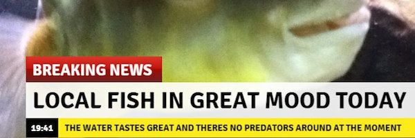pandorassocks's profile banner image