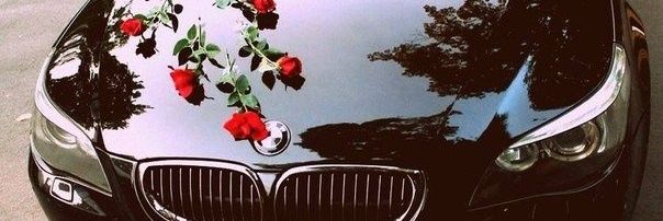 ann_avilkina's profile banner image