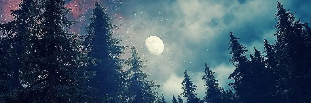 beneaththeheart's profile banner image
