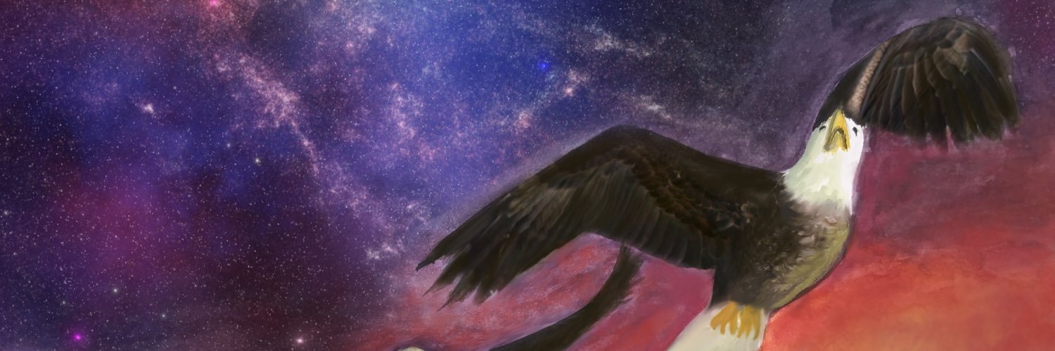 Raine Valentine's banner