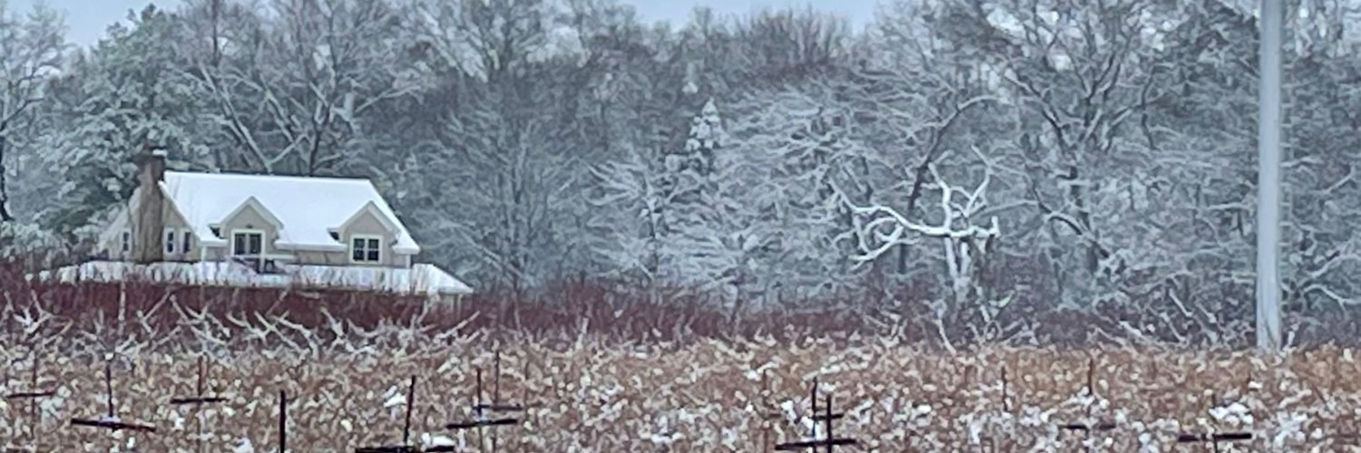 Agriberry Farm banner
