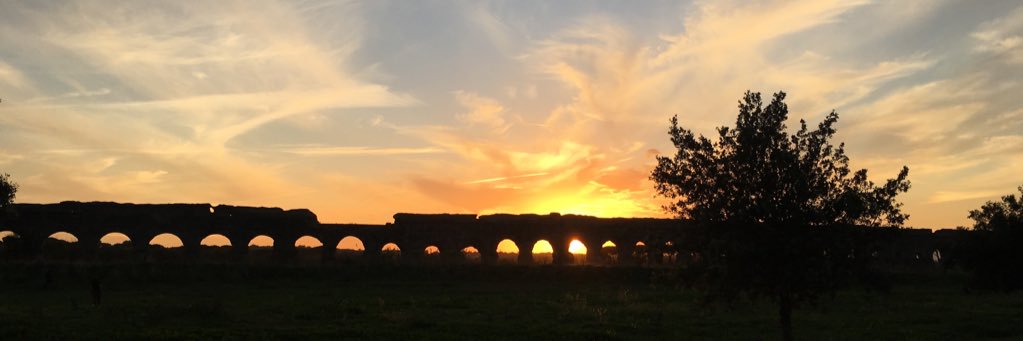 Nicoletta Luppi banner