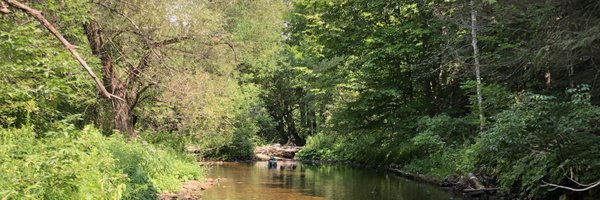 griffonwilde Profile Banner