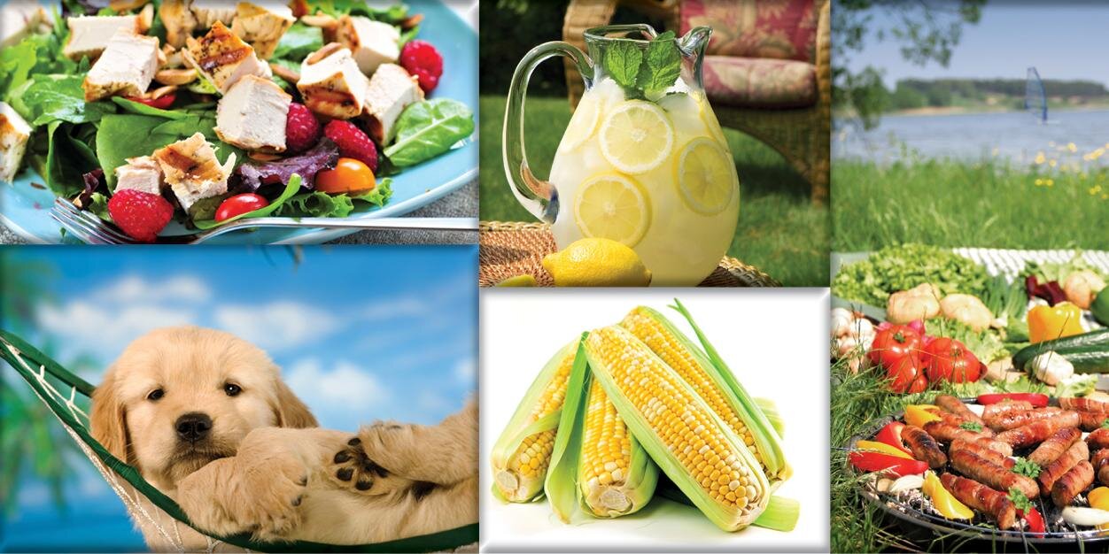 HarpsMarket's profile banner image