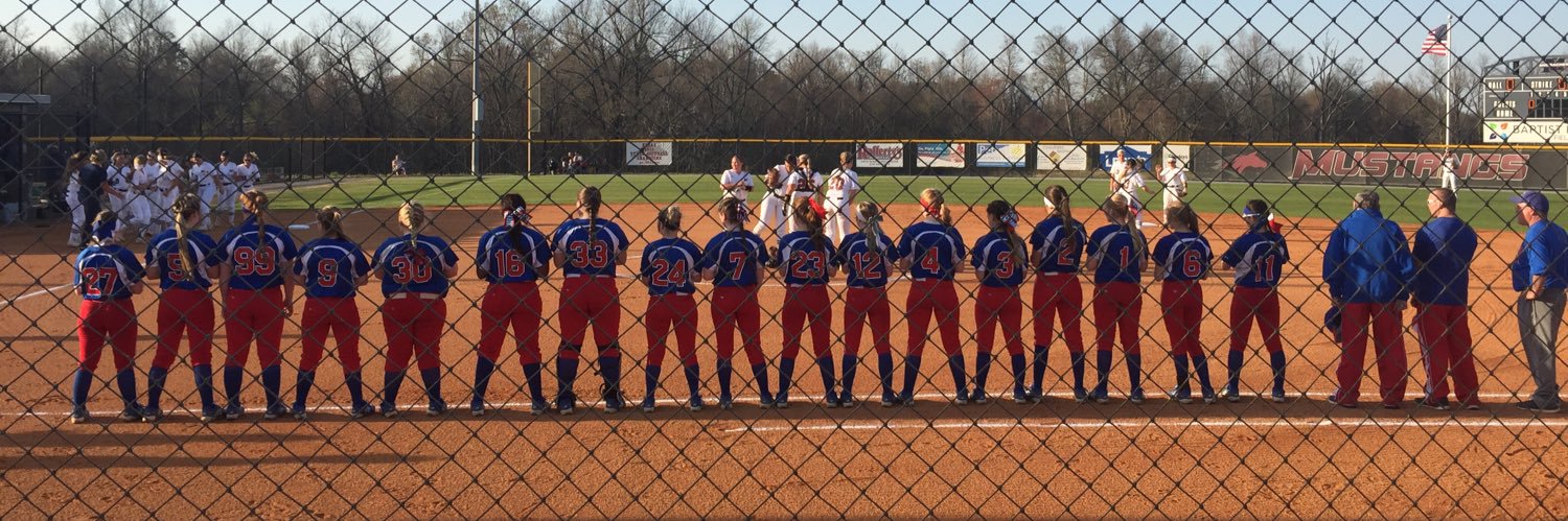 CCHS Softball banner