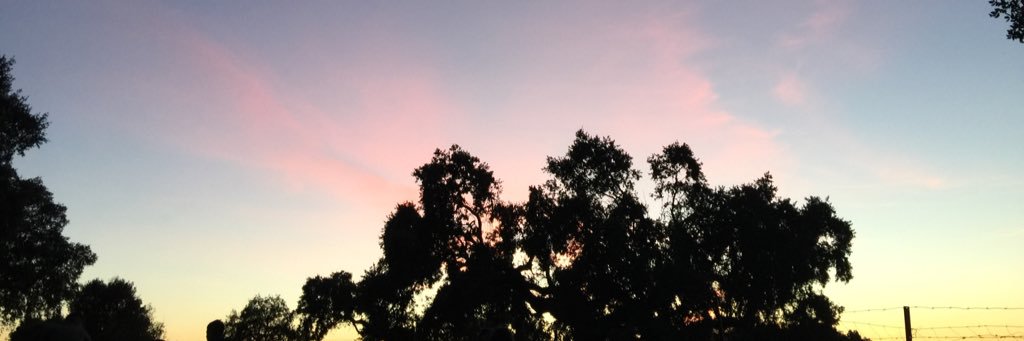 roos10_'s profile banner image
