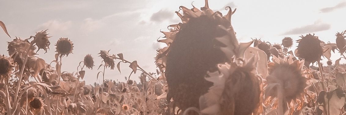 fkhrzzhd's profile banner image