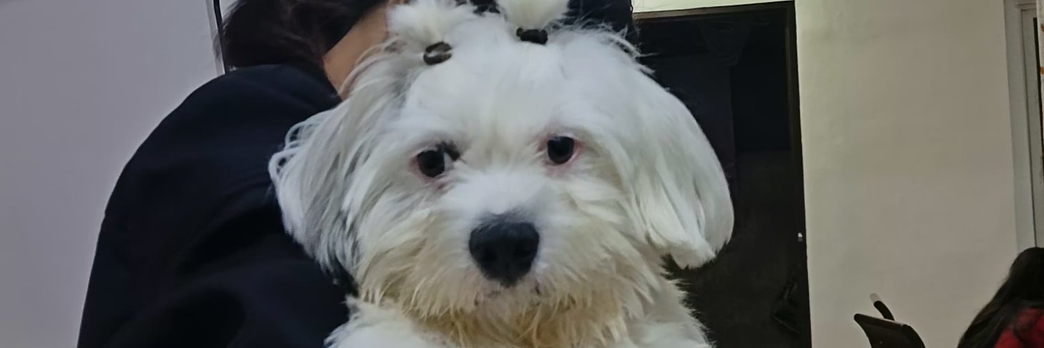 ItsMeeCarlah's profile banner image