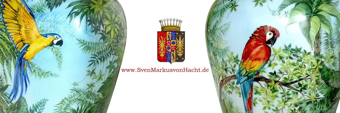 SMvHDdN's profile banner image