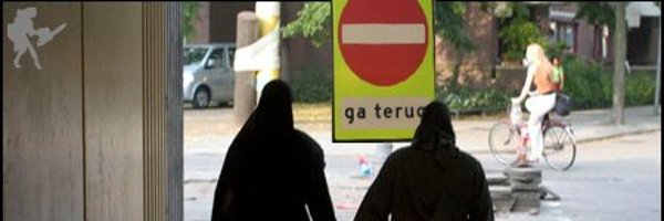 Shikra145 Profile Banner