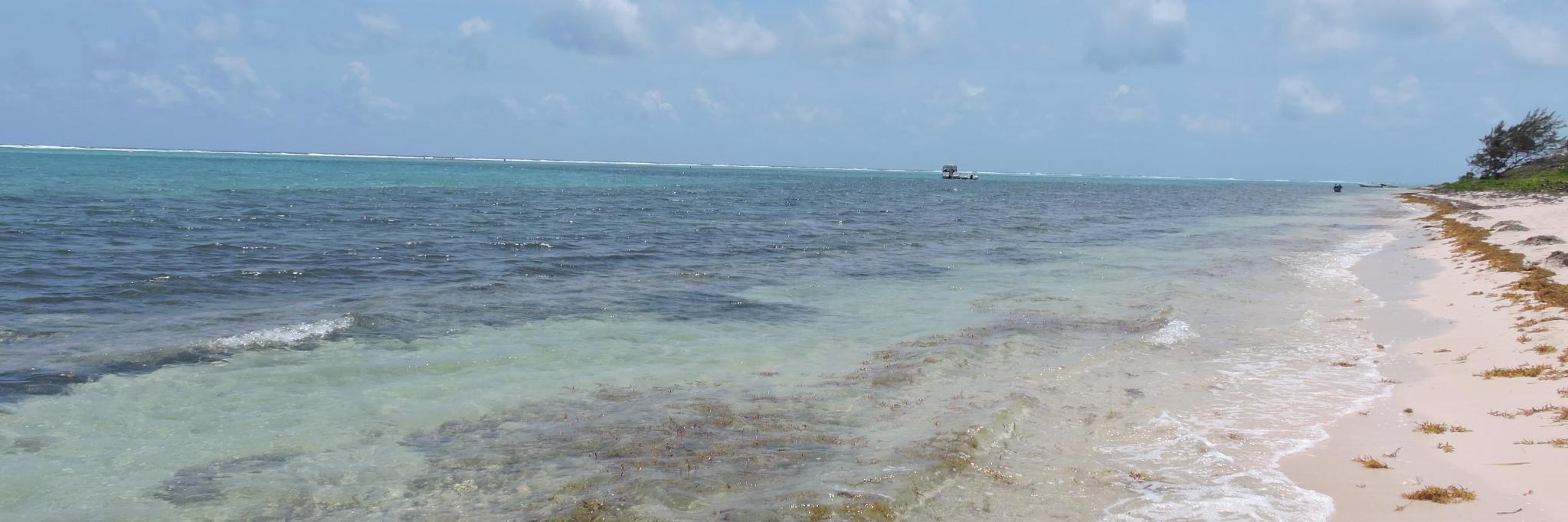 knittybirder's profile banner image
