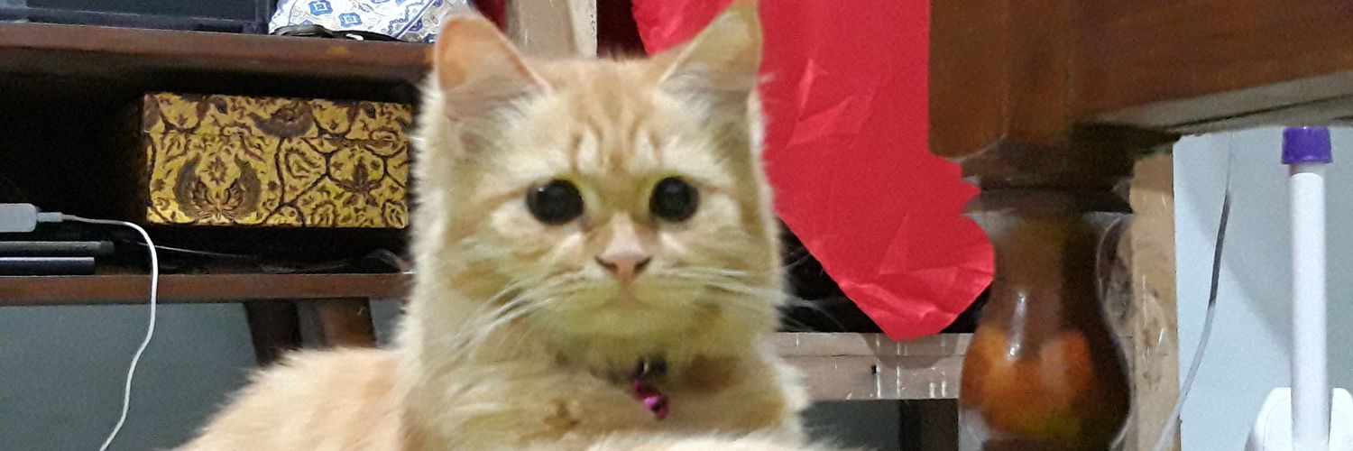marshyntha10's profile banner image