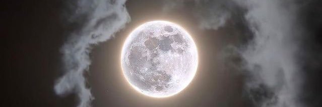 LuanaSMalta's profile banner image